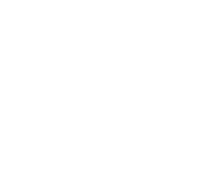 Renew your Energy with Perovskite